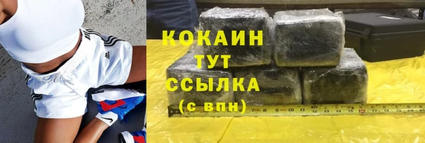 гидра Белокуриха
