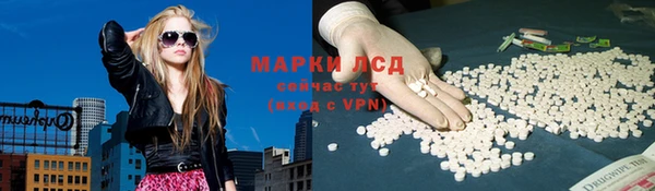 гидра Белокуриха