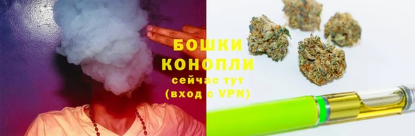 гидра Белокуриха