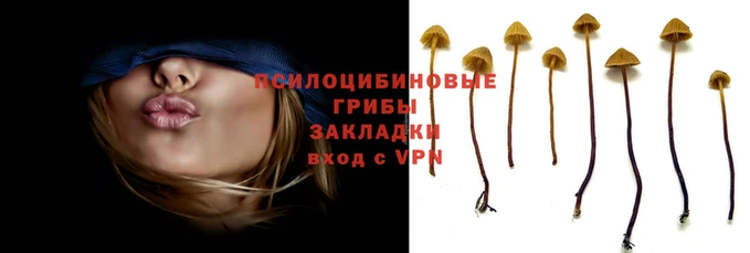 гидра Белокуриха