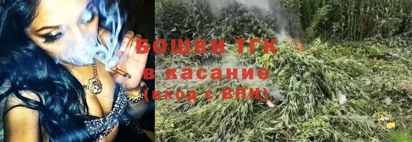 гидра Белокуриха