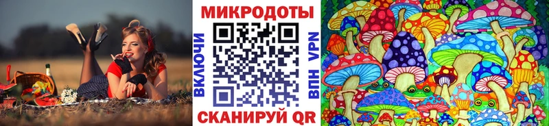Галлюциногенные грибы MAGIC MUSHROOMS  Купить  Осташков 